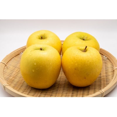 【2025年発送】 長野県産 りんご シナノゴールド 約2kg(3〜5玉程度)【1577419】長野県中野市14000果物・フルーツりんご・梨