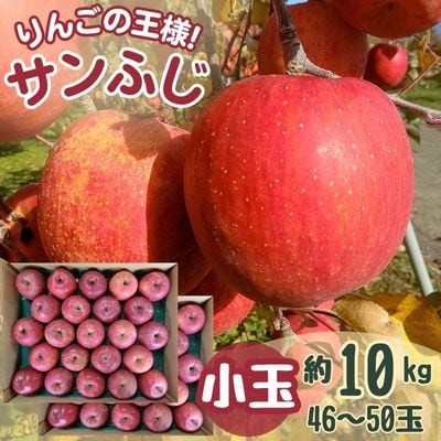 サンふじ 小玉 10kg 43〜50玉【1587842】長野県中野市13000果物・フルーツりんご・梨