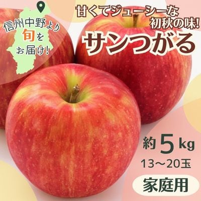 りんご サンつがる 家庭用 約5kg 13〜20玉【配送不可地域:離島・北海道・沖縄】【1647627】長野県中野市10000果物・フルーツりんご・梨