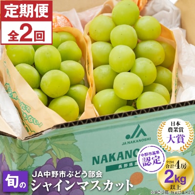 【発送月固定定期便】JA中野市から直送 シャインマスカット約1kg以上 全2回【配送不可地域:離島】【4007372】長野県中野市22000果物・フルーツマスカット・ぶどう