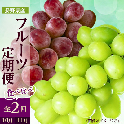 yŒցz2026N ̉ʕ VC}XJbg+NC[[WS2yzsnFzy4063521z쌧s57000ʕEt[c}XJbgEԂǂ