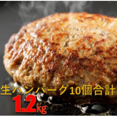 【毎月定期便】和牛入り生ハンバーグ 120g×10個 1.2kg全3回【配送不可地域:離島】【4064139】長野県中野市30000肉加工肉(ハム・ソーセージ等)