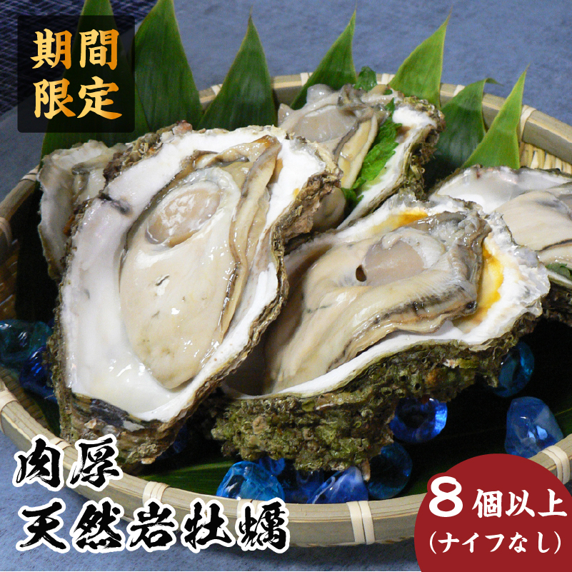 先行予約 秋田の肉厚な天然岩牡蠣(岩ガキ 8個以上)ナイフ無し かき カキ 秋田県 にかほ市産 天然 岩牡蠣  殻付 牡蠣 海産物 魚介類 海鮮秋田県にかほ市25000魚介・海産物貝類