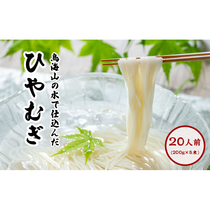 喉越しの良い象潟うどんとひやむぎセット(各5束合計10束 20人前 乾麺) 麺類 冷や麦 冷麦 大量 長期保存 秋田県にかほ市8000麺