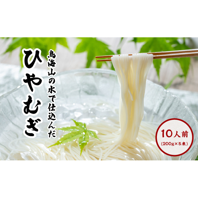 ひやむぎ200g×5束(10人前 冷麦 冷や麦) 麺類 秋田県にかほ市6000麺そうめん・ひやむぎ