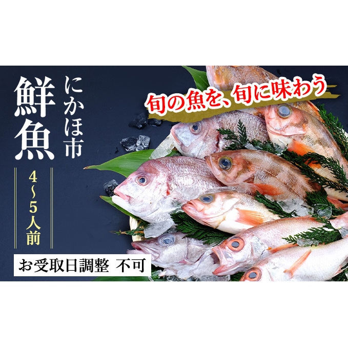 鮮魚 下処理済み 日本海の鮮魚 4〜5人前(5〜8種類) セット 魚 パック 詰め合わせ 海鮮セット 鮮魚ボックス 海鮮 海産物 海の幸 魚介 魚介類 刺身 切り身 ひらめ 鯛 甘エビ 鯵 あんこう 鮭 カレ