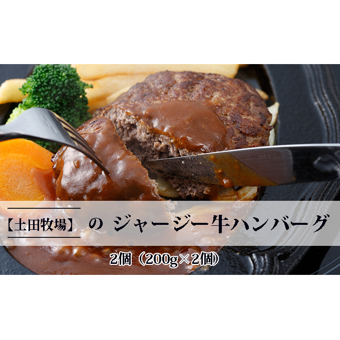 ジャージー牛使用! ハンバーグ 2個(200g×2個) お肉 加工食品 惣菜 レトルト 秋田県にかほ市9000肉加工肉(ハム・ソーセージ等)