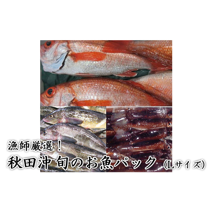 にかほ市の漁師厳選!秋田沖の旬のお魚パック!(Lサイズ・3〜4人前) 魚介類 直送 新鮮 詰め合わせ 秋田県にかほ市18000魚介・海産物鮮魚
