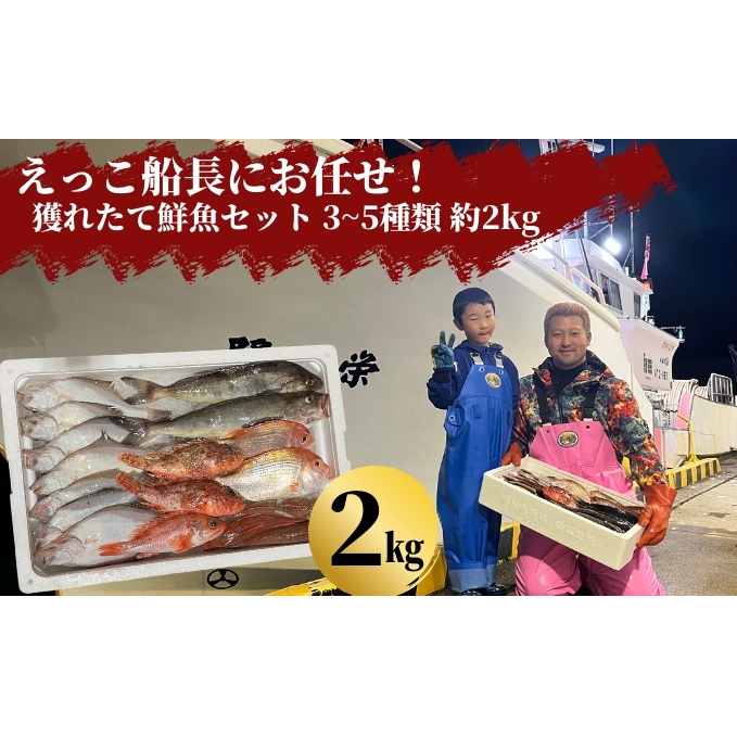 えっこ船長にお任せ!獲れたて鮮魚セット 3〜5種類 約2kg(鮮魚 詰合せ ボックス)秋田県にかほ市16000魚介・海産物鮮魚