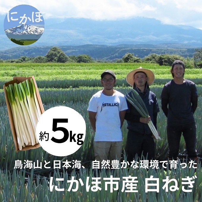 にかほ市産 白ネギ 約5kg(35〜45本)秋田県にかほ市14000野菜・きのこ玉ねぎ・ねぎ