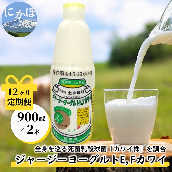 毎月お届け!ジャージー ヨーグルト(E・Fカワイ)900ml×2本 12ヶ月定期便(飲む ヨーグルト)秋田県にかほ市140000卵・乳製品牛乳・乳飲料