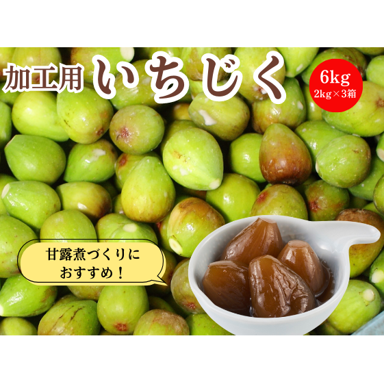 期間限定 加工用 生いちじく 6kg(2kg×3) 秋田県にかほ市産 北限のいちじく ホワイトゼノア秋田県にかほ市27000果物・フルーツその他 果物・フルーツ