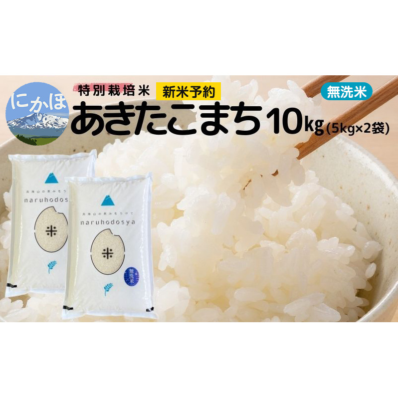 新米予約【無洗米】特別栽培米あきたこまち5kg×2 令和7年産 秋田県 にかほ市 お米 米 こめ秋田県にかほ市33000米・パン白米