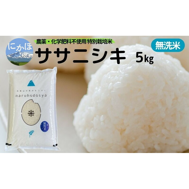 新米予約 栽培期間中 農薬・化学肥料不使用 【無洗米】特別栽培米ササニシキ5kg×1 令和7年産 秋田県 にかほ市 お米 米 こめ秋田県にかほ市20000米・パン白米