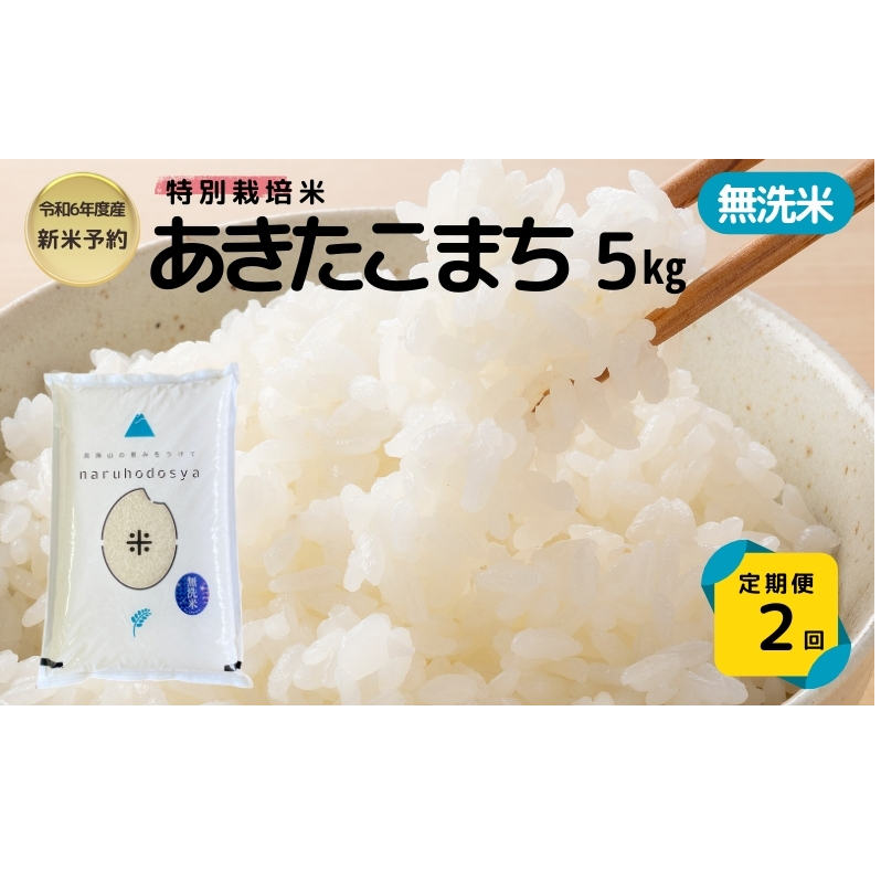 【無洗米】特別栽培米あきたこまち5kg×2回 合計10kg 令和6年産 秋田県 にかほ市 お米 米 こめ秋田県にかほ市22000米・パン白米