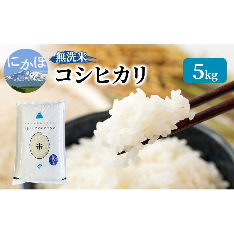 米 無洗米 令和6年産 コシヒカリ 5kg×1 お米秋田県にかほ市11000米・パン白米