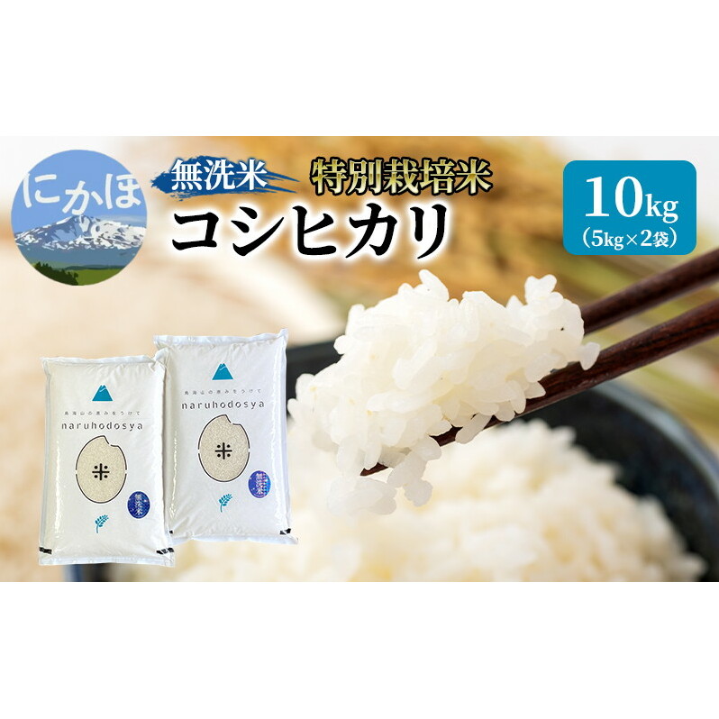 米 無洗米 令和6年産 特別栽培米コシヒカリ5kg×2 お米秋田県にかほ市20000米・パン白米