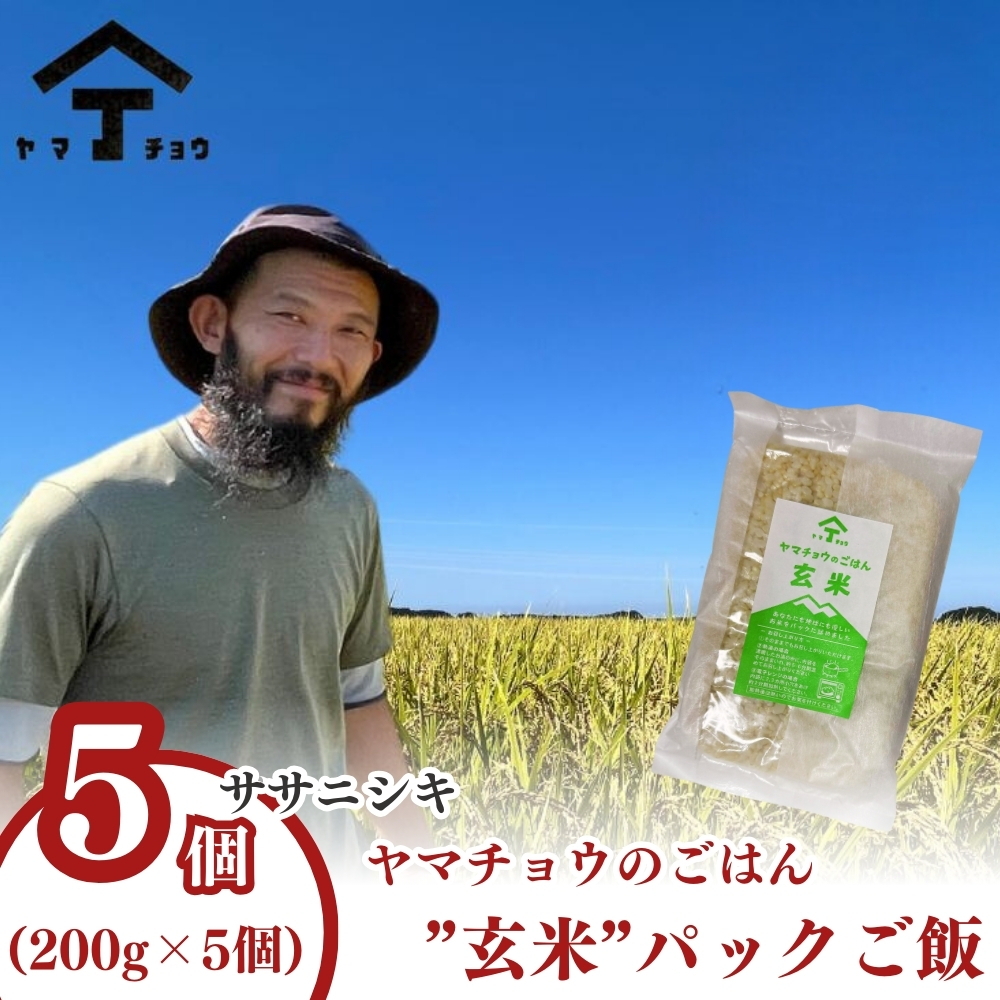 ヤマチョウのごはん パックご飯 玄米 ササニシキ 200g×5個セット 秋田県産秋田県にかほ市9100鍋セット・総菜・加工食品その他 鍋セット・総菜・加工食品