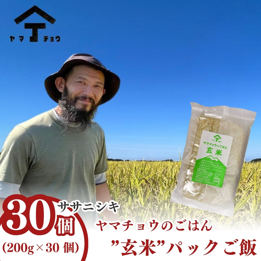 ヤマチョウのごはん パックご飯 玄米 ササニシキ 200g×30個セット 秋田県産秋田県にかほ市30700鍋セット・総菜・加工食品その他 鍋セット・総菜・加工食品