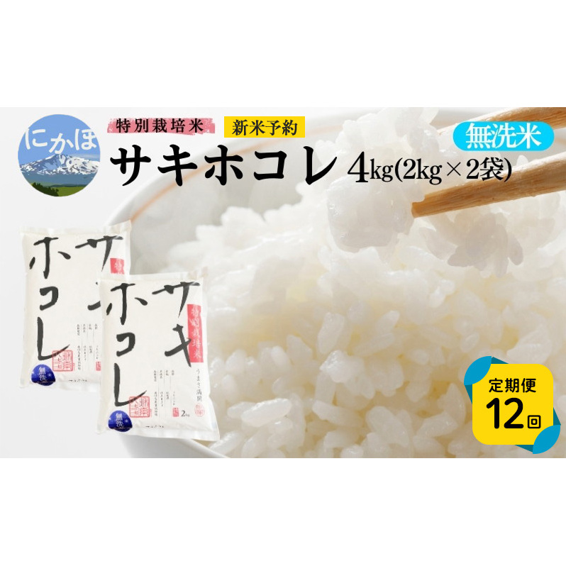 Vė\ s12tyāzʍ͔|ăTLzR4kg×12 v48kg ߘa7NY Hc ɂَs   ߏHcɂَs163000āEp