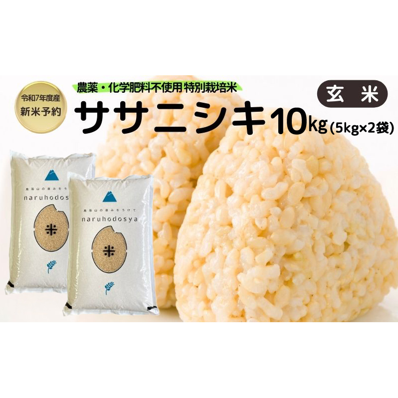 新米予約 栽培期間中 農薬・化学肥料不使用【玄米】特別栽培米ササニシキ10kg (5kg×2) 令和7年産 秋田県 にかほ市 お米 米 こめ秋田県にかほ市39000米・パン白米