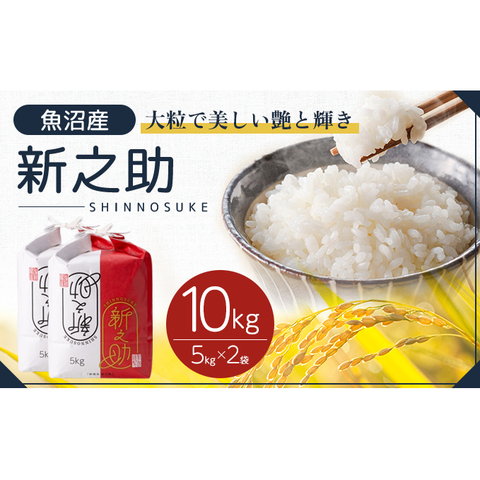 令和7年産 魚沼産 新之助 10kg(5kg×2袋) お米 米 コメ 新潟県十日町市39000米・パン白米