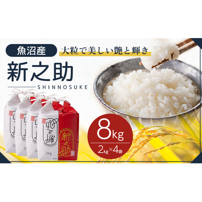 令和7年産 魚沼産 新之助 8kg(2kg×4袋) お米 米 コメ 新潟県十日町市31000米・パン白米