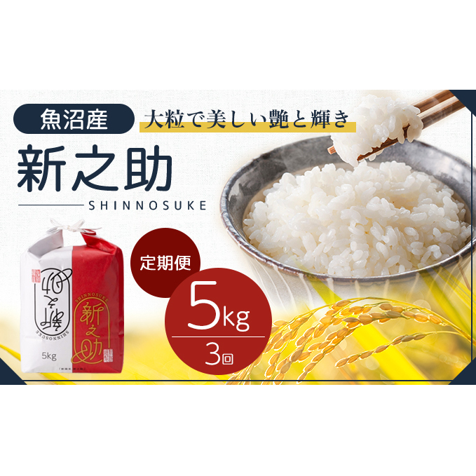 令和7年産 定期便 魚沼産 新之助 精米5kg×3回 お米 こめ コメ 新潟県十日町市58000米・パン白米