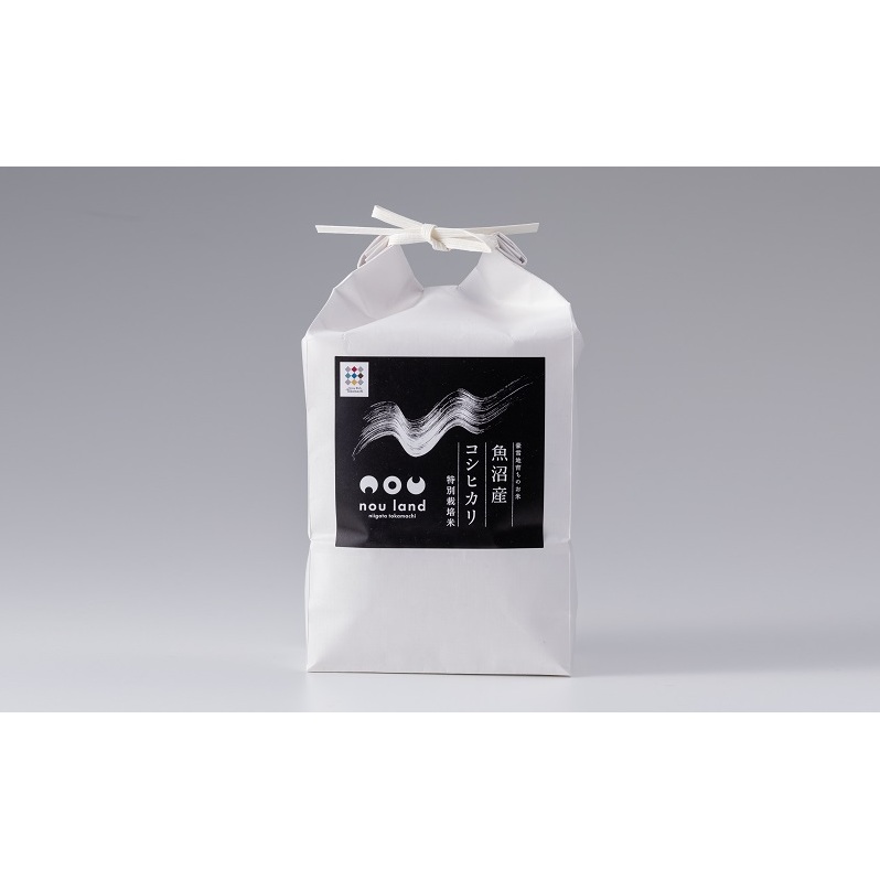 ߘa7NY  Y RVqJ ʍ͔|āy͔|Ԓw엿sgpA_8z 2kg×6  Ђ V\s51000āEp