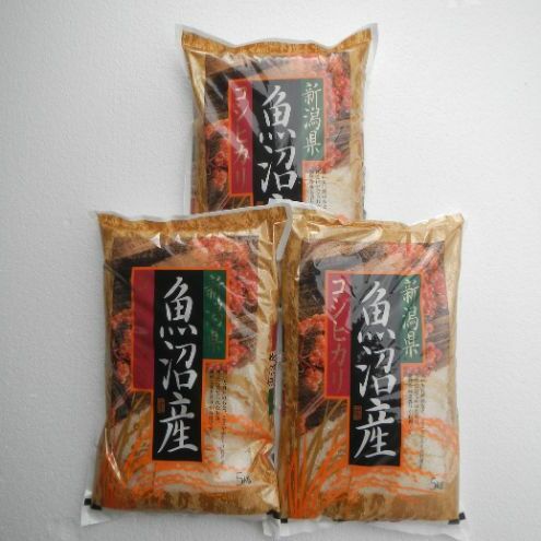 令和7年度産【十日町産】 魚沼産コシヒカリ15kg 米 お米 こしひかり 精米 新潟 新潟県十日町市64000米・パン白米