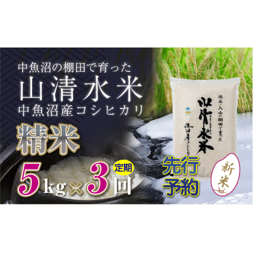 ysVė\zyց^S3z5kg VYRVqJuRāv V\s57000āEp