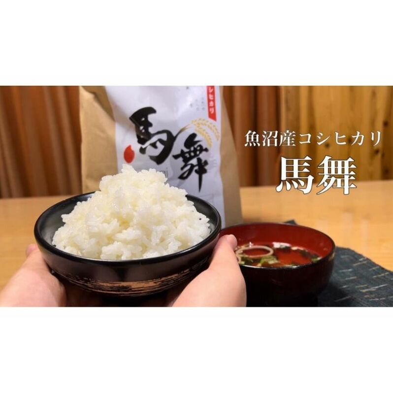 魚沼産コシヒカリ「馬舞」白米5kg お米 おこめ こめ 精米 こしひかり 新潟 新潟県十日町市18000米・パン白米