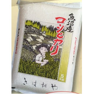 魚沼産コシヒカリ 天日干し米 5kg お米 おこめ こめ 精米 白米 こしひかり 新潟 新潟県十日町市27000米・パン白米