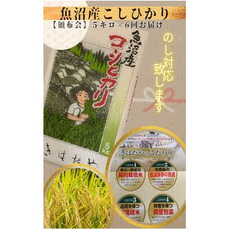 魚沼産コシヒカリ特上米5kg×6回定期便 お米 おこめ こめ 精米 白米 こしひかり 6ヶ月 お楽しみ 新潟 新潟県十日町市148000米・パン白米