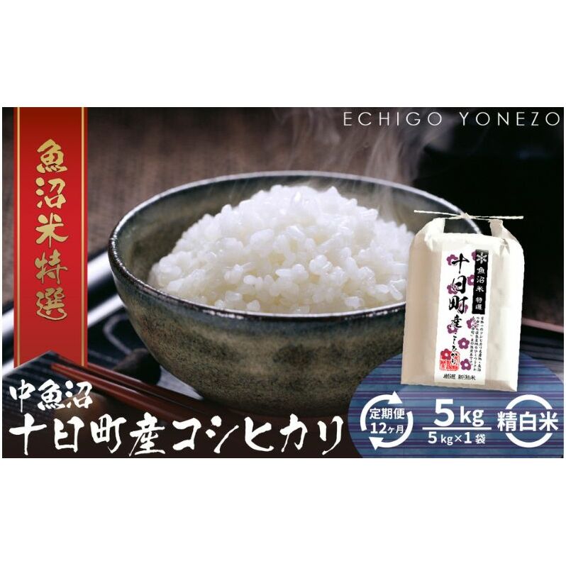 【定期便】魚沼十日町コシヒカリ5kg【ギフト】 x 12回 お米 米 コメ 新潟県十日町市180000米・パン白米