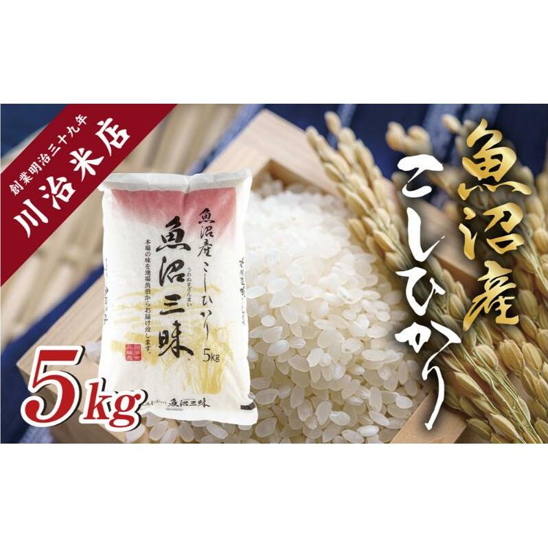 令和6年産 魚沼産 コシヒカリ 5kg 米 こしひかり お米 コメ 新潟 魚沼 魚沼産 白米  新潟県産 精米 産直 産地直送 契約農家 お取り寄せ 魚沼三昧 川治米店 新潟県 十日町市 新潟県十日町市22000