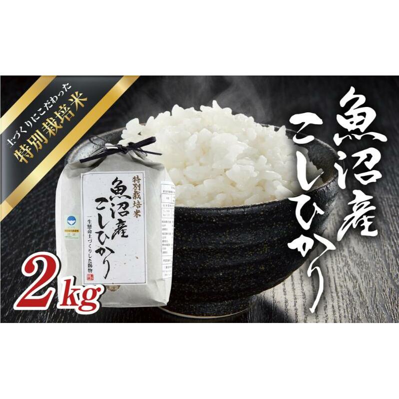令和6年産 魚沼産 コシヒカリ 特別栽培米 2kg 米 こしひかり お米 コメ 新潟 魚沼 魚沼産 白米  新潟県産 精米 産直 産地直送 契約農家 お取り寄せ 魚沼三昧 川治米店 新潟県 十日町市 もちも