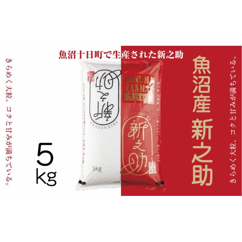 令和7年産 魚沼産 新之助 5kg 米 お米 コメ プレミアム米 新潟 魚沼 魚沼産 白米  新潟県産 精米 産直 産地直送 契約農家 お取り寄せ 魚沼三昧 川治米店 新潟県 十日町市 大粒 甘み 新潟県十日