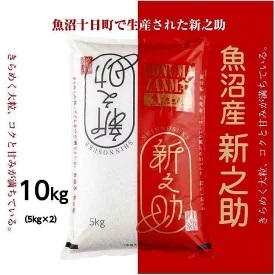 令和6年産 魚沼産 新之助 5kg×2 米 お米 コメ プレミアム米 新潟 魚沼 魚沼産 白米  新潟県産 精米 産直 産地直送 契約農家 お取り寄せ 魚沼三昧 川治米店 新潟県 十日町市 大粒 甘み 新潟県十