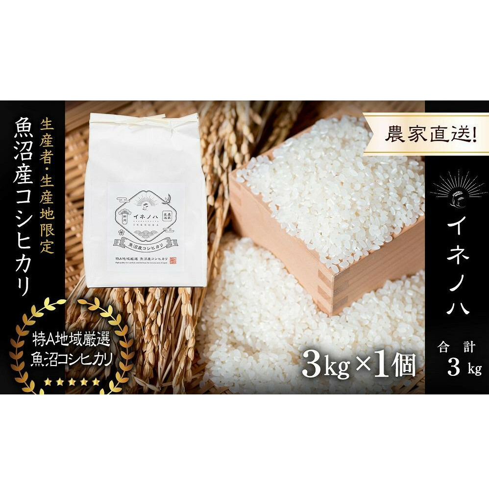 【令和6年産】 魚沼産コシヒカリ 「イネノハ 」精米(3kg×1) お米 白米 ご飯 産地直送 ミネラル 栄養分 こだわり 人気 新鮮 新潟県十日町市14000米・パン白米