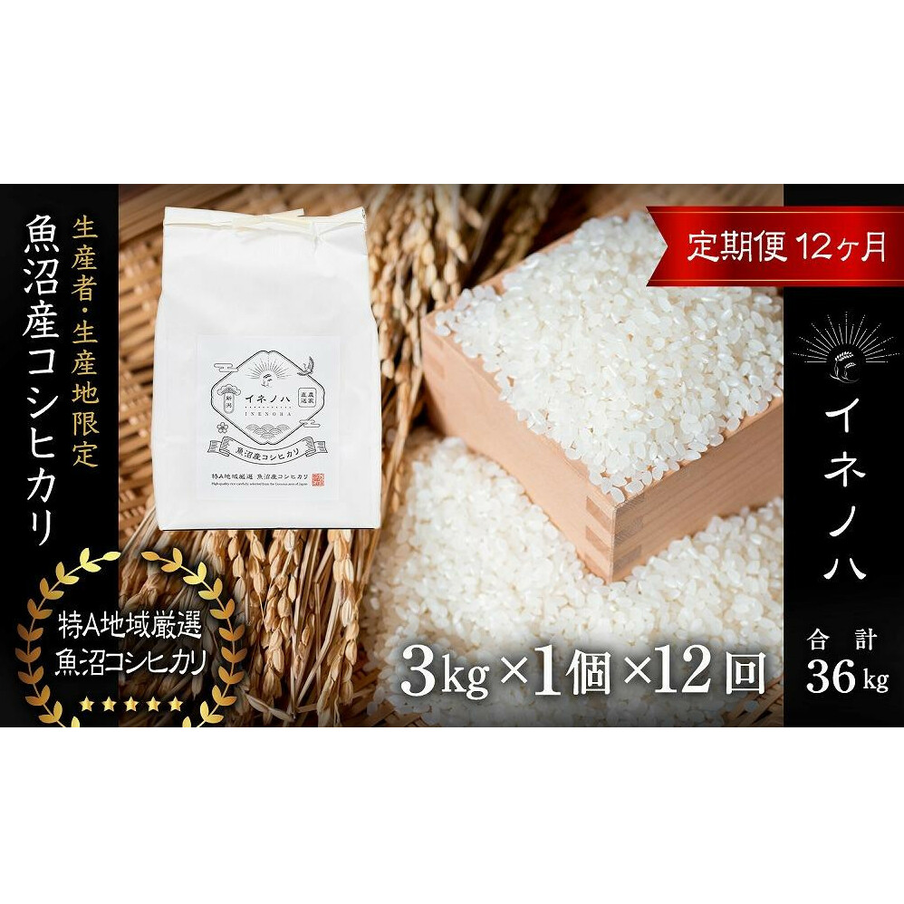 <定期便・全12回>【令和6年産】魚沼産コシヒカリ「イネノハ 」精米(3kg×1)×12回 お米 白米 ご飯 産地直送 ミネラル 栄養分 こだわり 人気 新鮮 新潟県十日町市162000米・パン白米