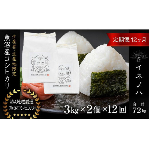 <定期便・全12回>【令和6年産】魚沼産コシヒカリ「イネノハ 」精米(3kg×2)×12回 お米 白米 ご飯 産地直送 ミネラル 栄養分 こだわり 人気 新鮮 新潟県十日町市324000米・パン白米