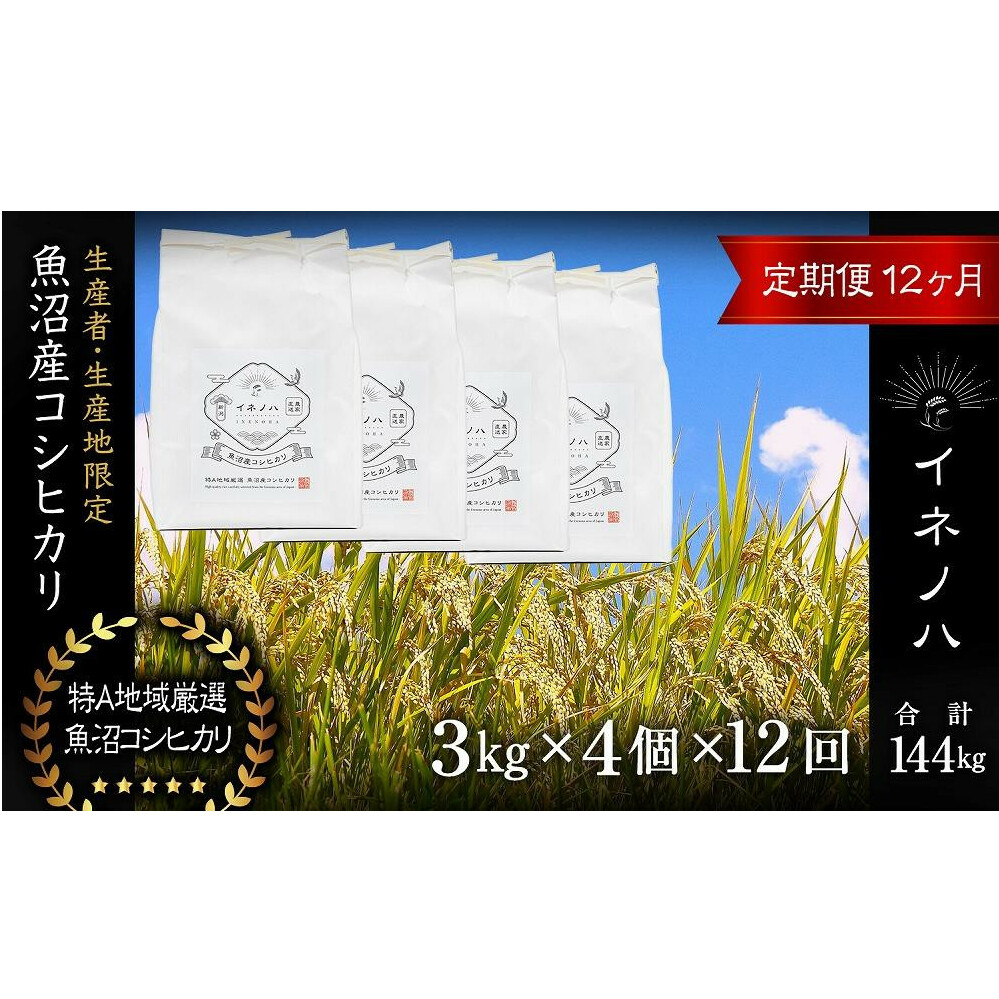 <定期便・全12回>【令和6年産】魚沼産コシヒカリ「イネノハ 」精米(3kg×4)×12回 お米 白米 ご飯 産地直送 ミネラル 栄養分 こだわり 人気 新鮮 新潟県十日町市647000米・パン白米