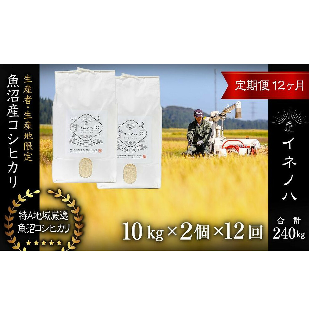 <定期便・全12回>【令和6年産】魚沼産コシヒカリ「イネノハ 」精米(10kg×2)×12回 お米 白米 ご飯 産地直送 ミネラル 栄養分 こだわり 人気 新鮮 新潟県十日町市924000米・パン白米