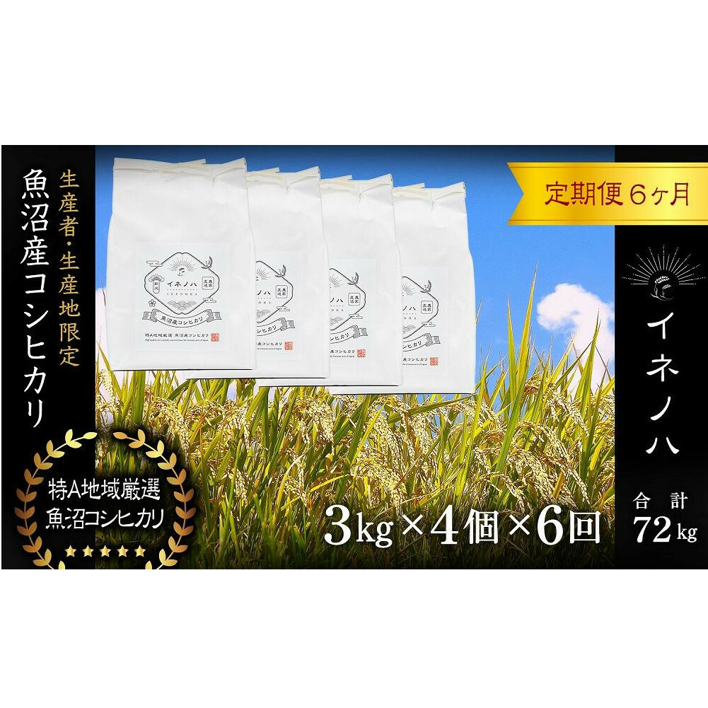 <定期便・全6回>【令和6年産】魚沼産コシヒカリ「イネノハ 」精米(3kg×4)×6回 お米 白米 ご飯 産地直送 ミネラル 栄養分 こだわり 人気 新鮮 新潟県十日町市324000米・パン白米