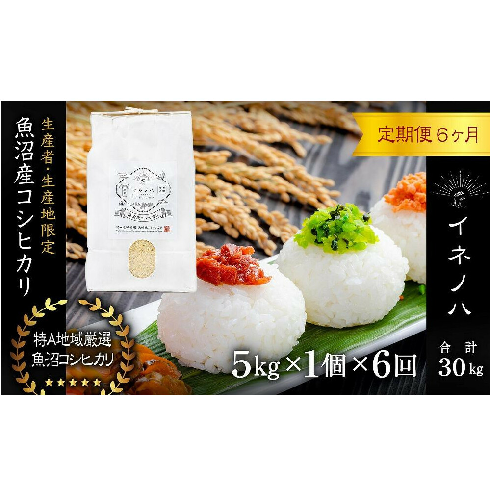 ցES6񁄁yߘa6NYzYRVqJuClmn v(5kg×1)×6    Yn ~l h{  lC VN V\s127000āEp
