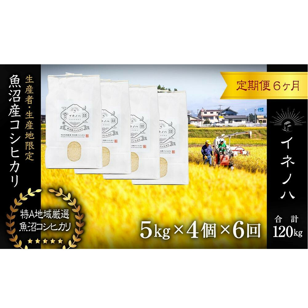 ցES6񁄁yߘa6NYzYRVqJuClmn v(5kg×4)×6    Yn ~l h{  lC VN V\s508000āEp