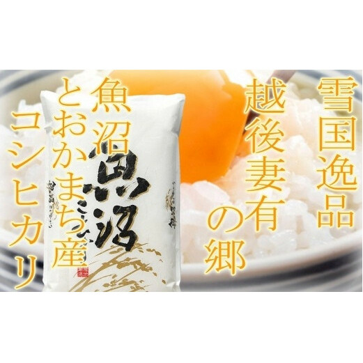 ●定期便●【雪国逸品10kg×9ヶ月】 越後妻有の郷 魚沼十日町産コシヒカリ お米 白米 ご飯 産地直送 ミネラル 栄養分 こだわり 人気 新鮮 新潟県十日町市416000米・パン白米
