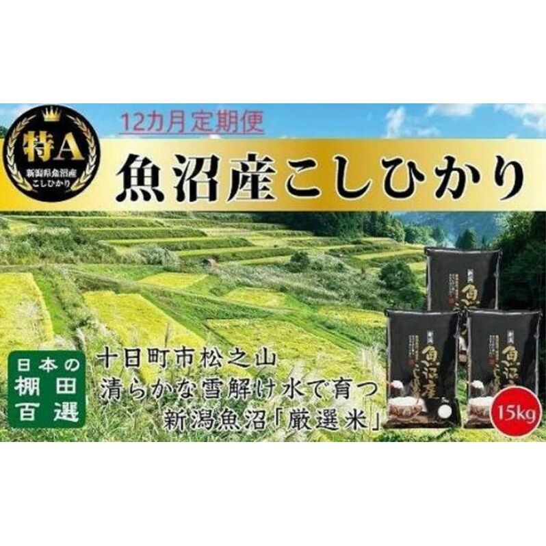 u12Jցv{IcSÎ V̗EYЂ 15kg(5kg×3)×12  V\s468000āEp