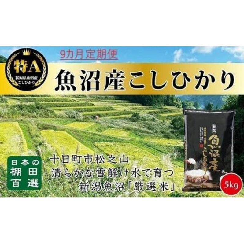 「9カ月定期便」日本棚田百選のお米 天空の里・魚沼産こしひかり 5kg×9回 白米 安心 新潟県十日町市117000米・パン白米